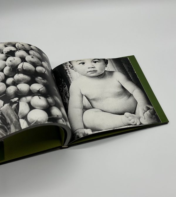 続にっぽん劇場写真帖