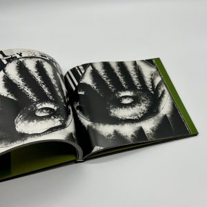 続にっぽん劇場写真帖 - 画像 (3)