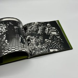 続にっぽん劇場写真帖 - 画像 (4)