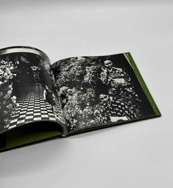 続にっぽん劇場写真帖