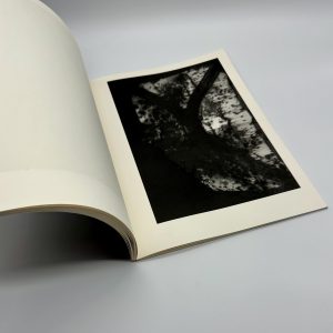 ON THE BEACH - 画像 (3)