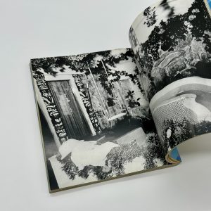 アラキンZ - 画像 (7)