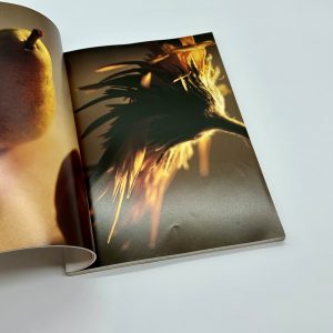 deja-vu　第1号 - 画像 (6)