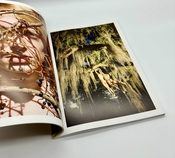 IMA 第15号 ライアン・マッギンレー責任編集号