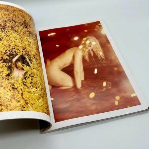 IMA 第15号 ライアン・マッギンレー責任編集号 - 画像 (3)