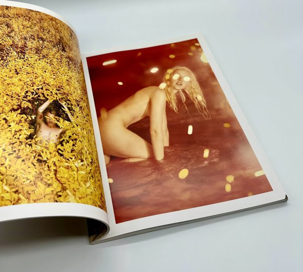 IMA 第15号 ライアン・マッギンレー責任編集号