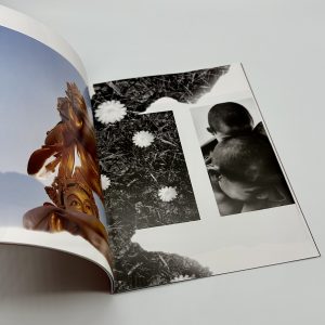 Jamie Hawkesworth　COMME des GARCONS　DMカタログ - 画像 (2)