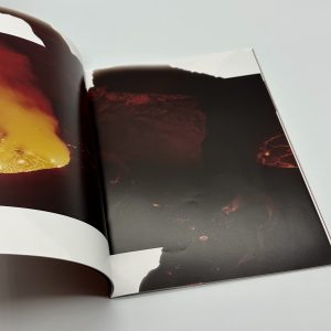 Jamie Hawkesworth　COMME des GARCONS　DMカタログ - 画像 (4)