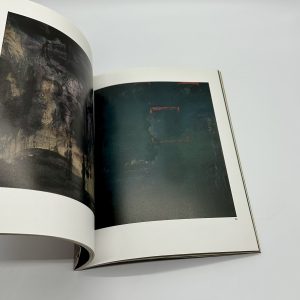 CANVASISM　夢と細胞　大竹伸朗新作展 - 画像 (5)