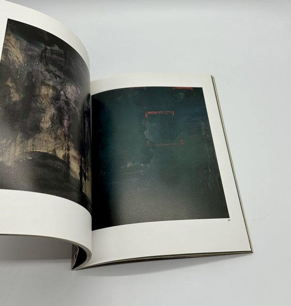 CANVASISM　夢と細胞　大竹伸朗新作展