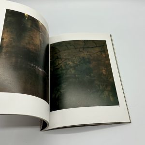 CANVASISM　夢と細胞　大竹伸朗新作展 - 画像 (4)