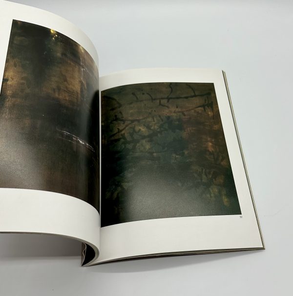 CANVASISM　夢と細胞　大竹伸朗新作展