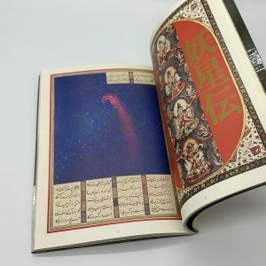 横尾忠則　自選作品集 - 画像 (6)