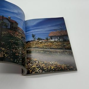 アメリカンルーレット - 画像 (6)