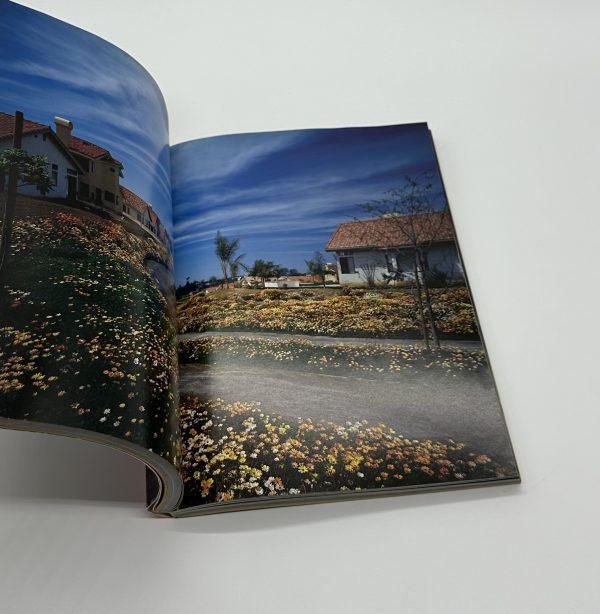 アメリカンルーレット