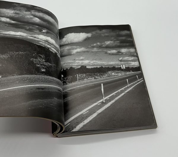 アメリカンルーレット