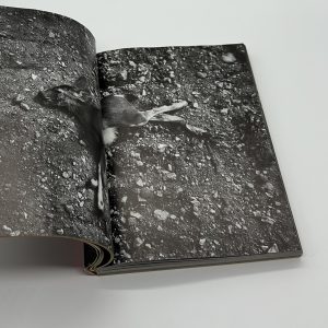 アメリカンルーレット - 画像 (2)