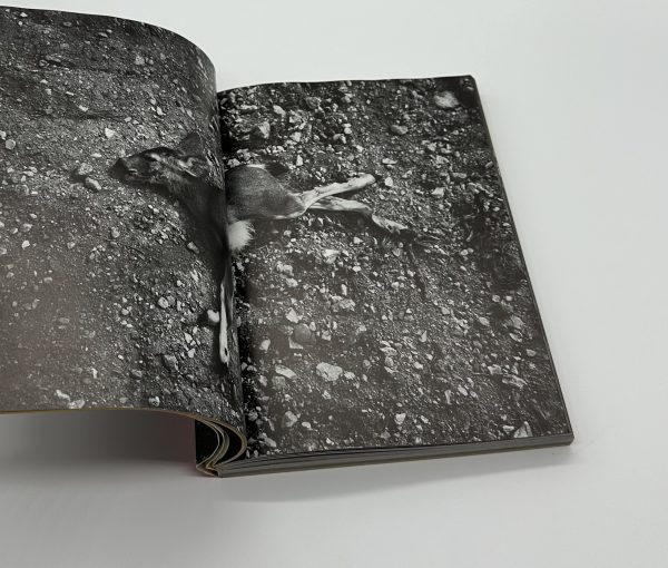 アメリカンルーレット