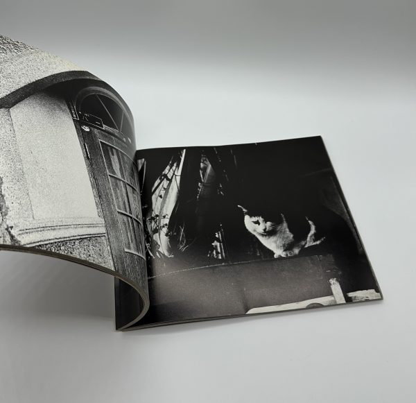 『署名入』絶唱、横須賀ストーリー