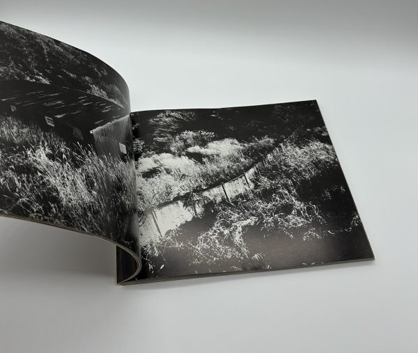 『署名入』絶唱、横須賀ストーリー