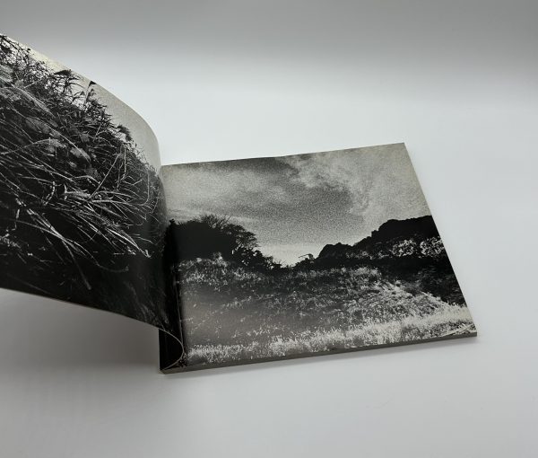 『署名入』絶唱、横須賀ストーリー