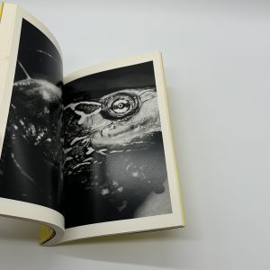 エロトス　荒木経惟写真全集　第16巻 - 画像 (8)