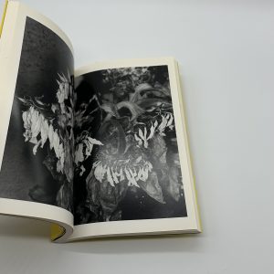 エロトス　荒木経惟写真全集　第16巻 - 画像 (7)