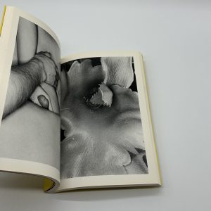 エロトス　荒木経惟写真全集　第16巻 - 画像 (6)