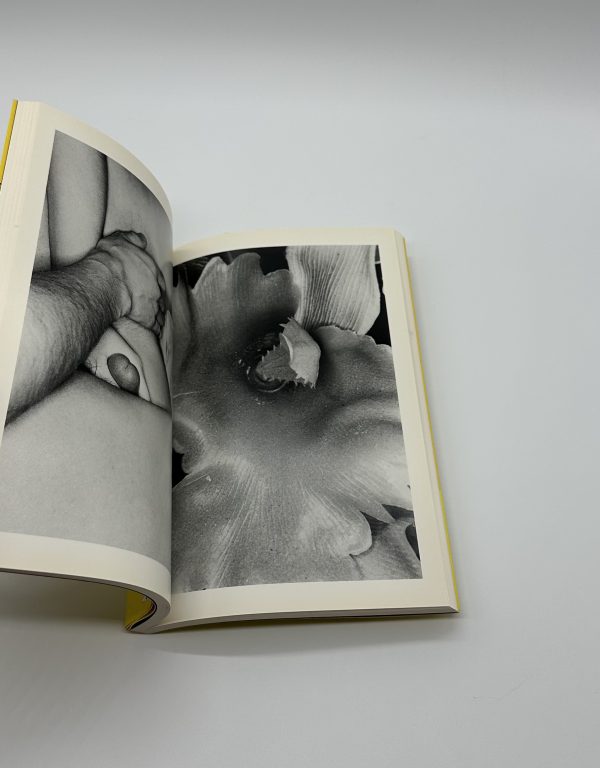 エロトス　荒木経惟写真全集　第16巻