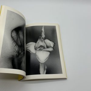 エロトス　荒木経惟写真全集　第16巻 - 画像 (5)