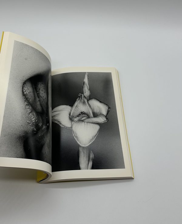 エロトス　荒木経惟写真全集　第16巻