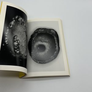 エロトス　荒木経惟写真全集　第16巻 - 画像 (4)