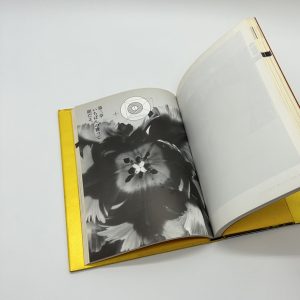 天才アラーキーの眼を磨け - 画像 (2)