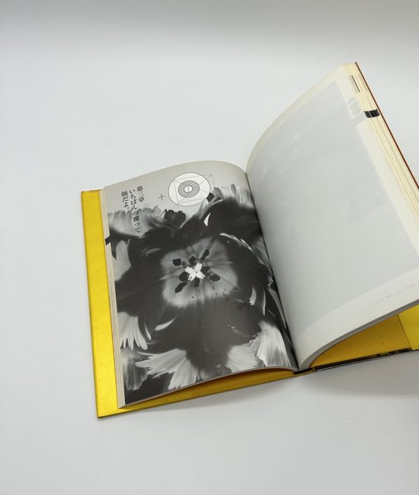 天才アラーキーの眼を磨け