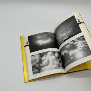 天才アラーキーの眼を磨け - 画像 (3)