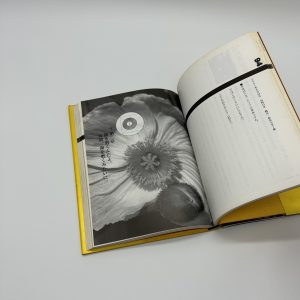 天才アラーキーの眼を磨け - 画像 (4)