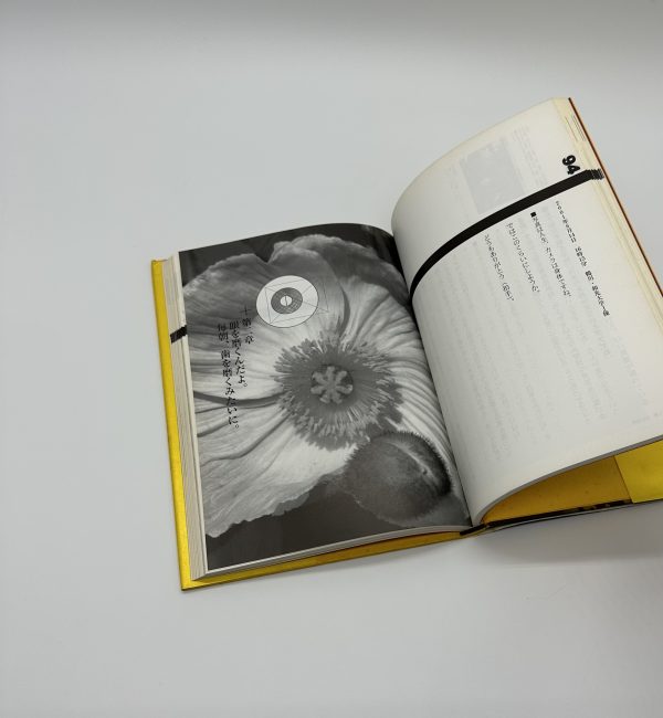 天才アラーキーの眼を磨け