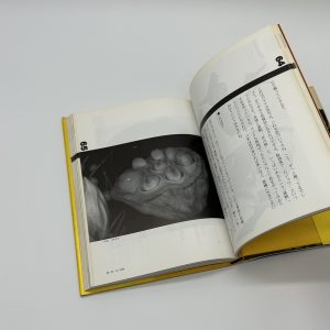 天才アラーキーの眼を磨け - 画像 (5)