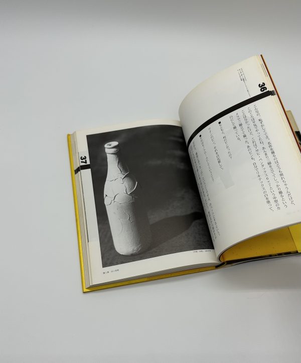 天才アラーキーの眼を磨け