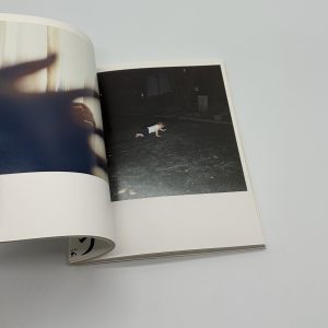 うたたね - 画像 (4)