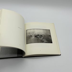 Wide Open - 画像 (5)