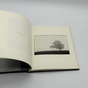 Wide Open - 画像 (3)