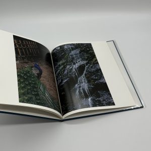 hysteric six - 画像 (3)