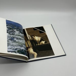 hysteric six - 画像 (6)