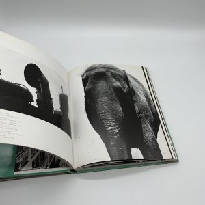 サン・ルゥへの手紙 - 画像 (6)