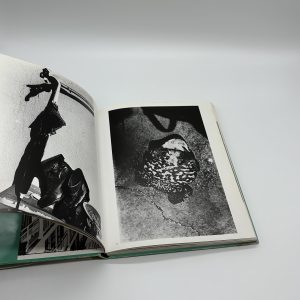 サン・ルゥへの手紙 - 画像 (4)