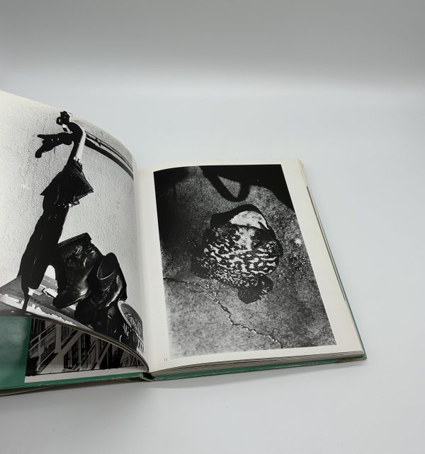 サン・ルゥへの手紙