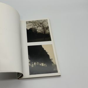 自分じゃない人 - 画像 (2)