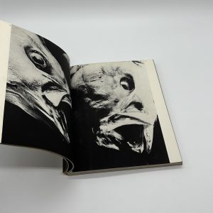 写真集　視点　第2回公募作品 - 画像 (2)