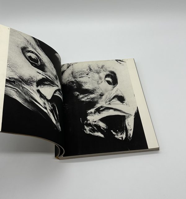 写真集　視点　第2回公募作品